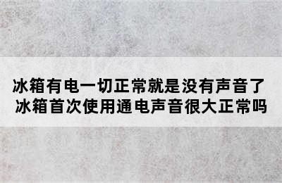 冰箱有电一切正常就是没有声音了 冰箱首次使用通电声音很大正常吗